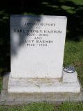 image of grave number 487590